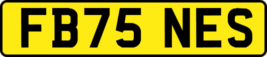 FB75NES