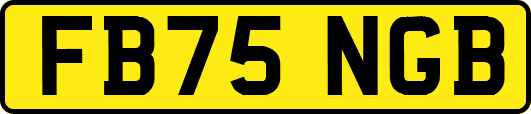 FB75NGB
