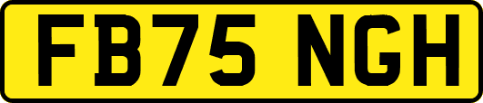 FB75NGH