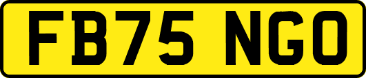 FB75NGO