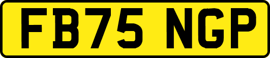 FB75NGP