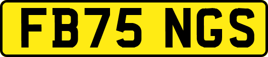 FB75NGS