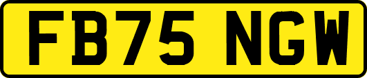 FB75NGW