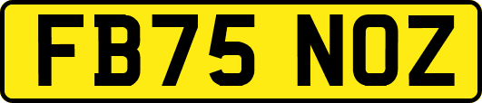 FB75NOZ