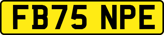 FB75NPE