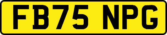 FB75NPG