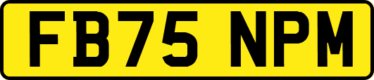 FB75NPM