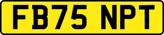 FB75NPT