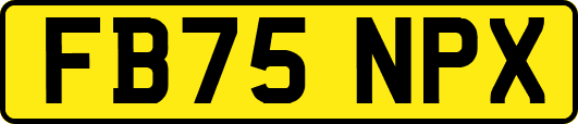 FB75NPX