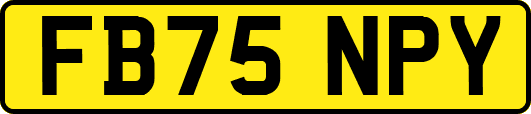 FB75NPY