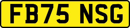 FB75NSG