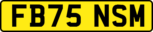 FB75NSM