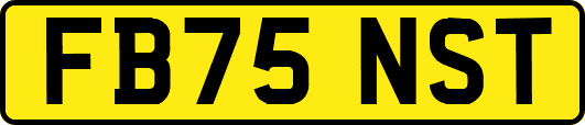 FB75NST