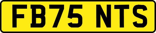 FB75NTS