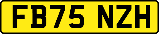 FB75NZH