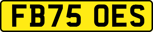 FB75OES