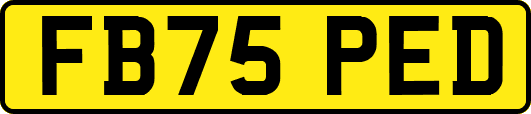 FB75PED