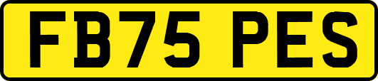 FB75PES