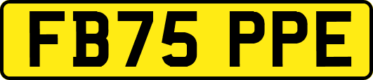 FB75PPE