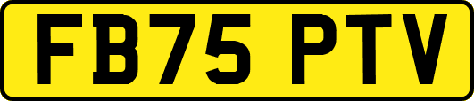 FB75PTV