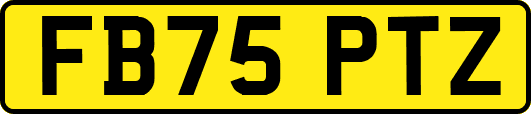 FB75PTZ