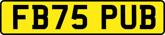 FB75PUB