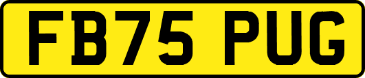 FB75PUG