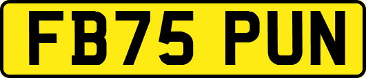 FB75PUN