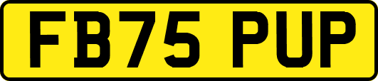 FB75PUP