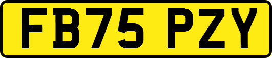 FB75PZY