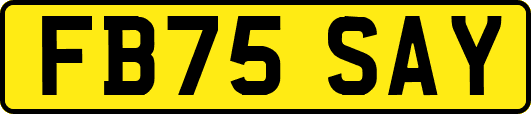 FB75SAY