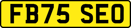 FB75SEO