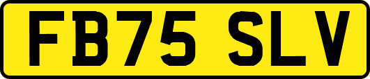FB75SLV
