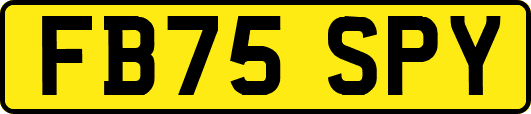FB75SPY