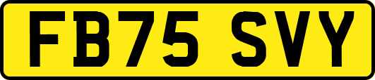 FB75SVY