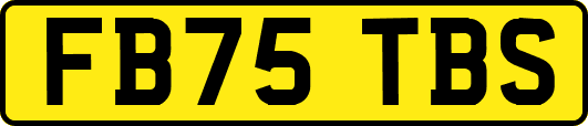 FB75TBS