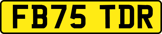 FB75TDR