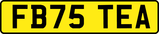 FB75TEA