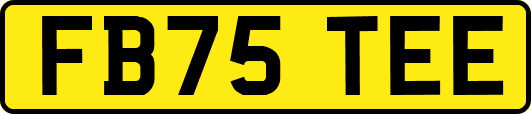 FB75TEE