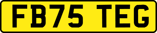 FB75TEG