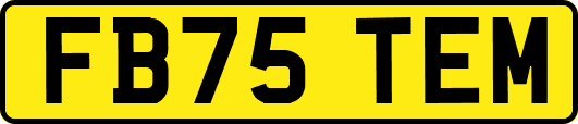 FB75TEM