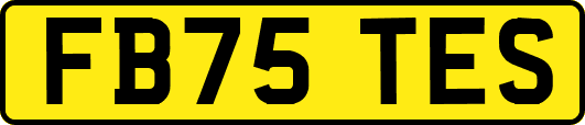 FB75TES