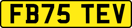 FB75TEV