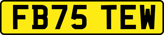 FB75TEW