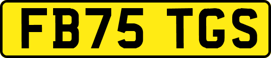 FB75TGS