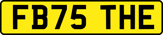 FB75THE