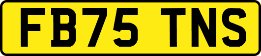 FB75TNS