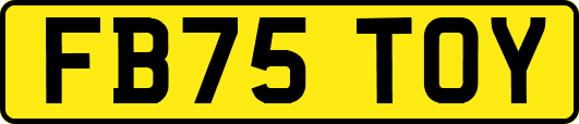 FB75TOY