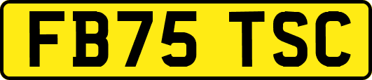 FB75TSC