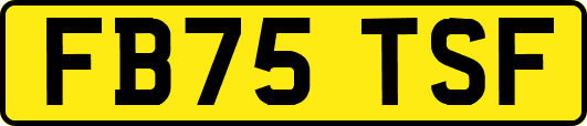 FB75TSF